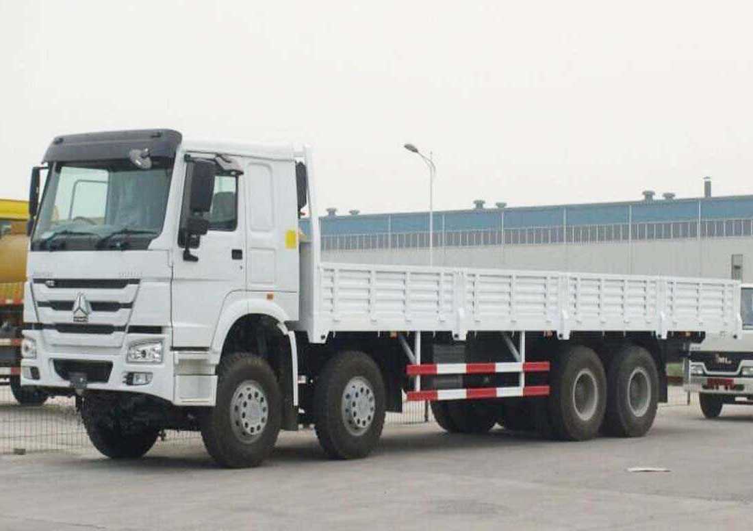 Howo 8x4 Cargo Truck